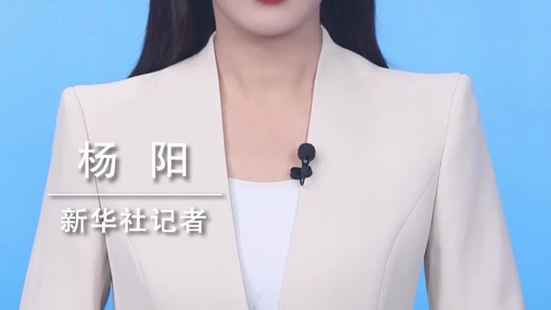 企业级搜索开源方案：行业应用与关键技术解析
